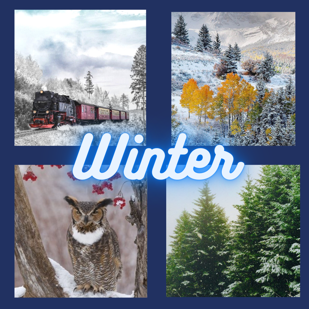 2022 Yarn Calendar- A Celebration of the Four Seasons