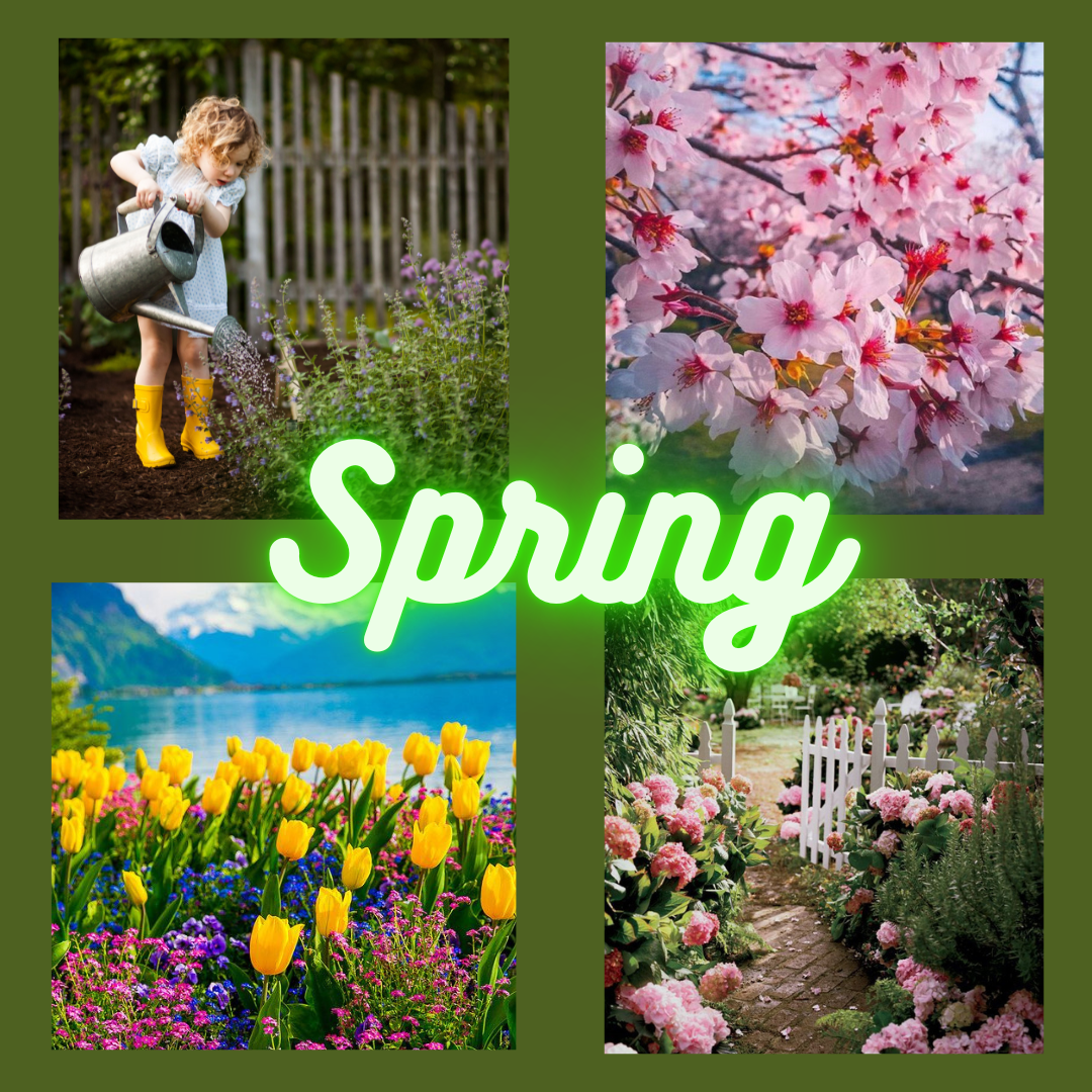 2022 Yarn Calendar- A Celebration of the Four Seasons